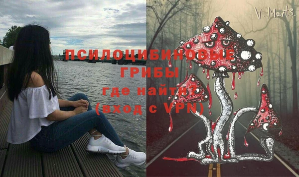 мескалин Белокуриха
