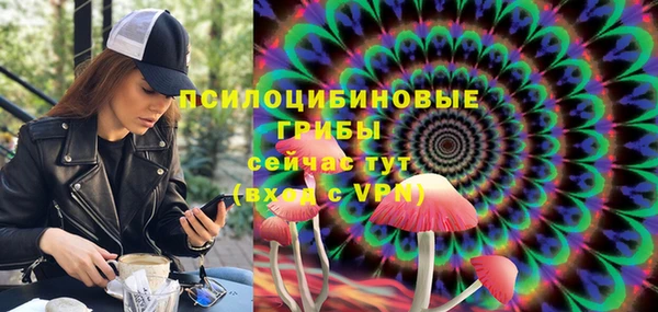 крисы Беломорск