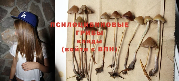 мескалин Белокуриха